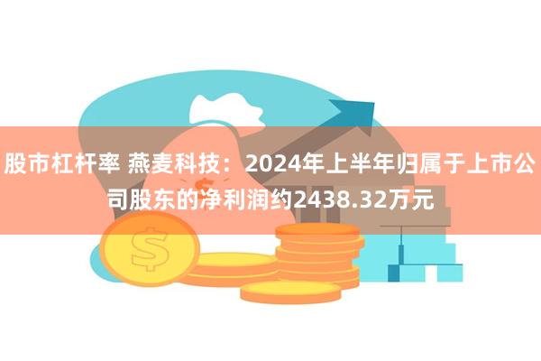 股市杠杆率 燕麦科技：2024年上半年归属于上市公司股东的净利润约2438.32万元