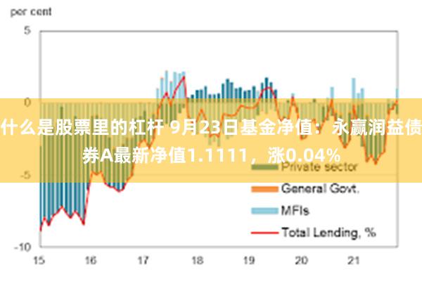 什么是股票里的杠杆 9月23日基金净值：永赢润益债券A最新净值1.1111，涨0.04%