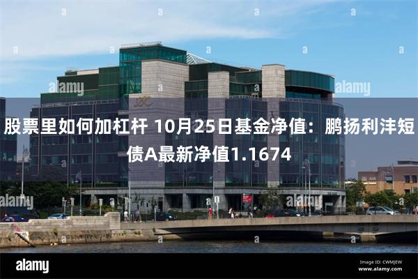 股票里如何加杠杆 10月25日基金净值：鹏扬利沣短债A最新净值1.1674