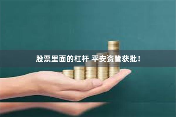 股票里面的杠杆 平安资管获批!