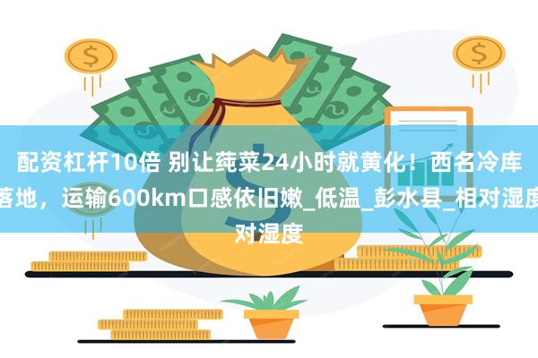 配资杠杆10倍 别让莼菜24小时就黄化！西名冷库落地，运输600km口感依旧嫩_低温_彭水县_相对湿度