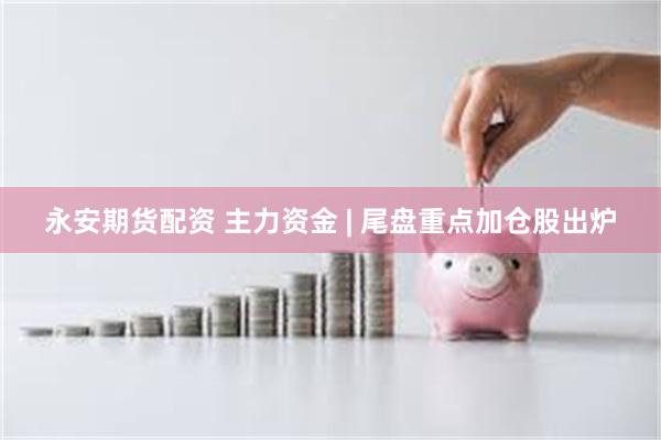 永安期货配资 主力资金 | 尾盘重点加仓股出炉